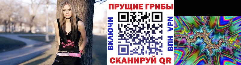 Галлюциногенные грибы ЛСД Алдан